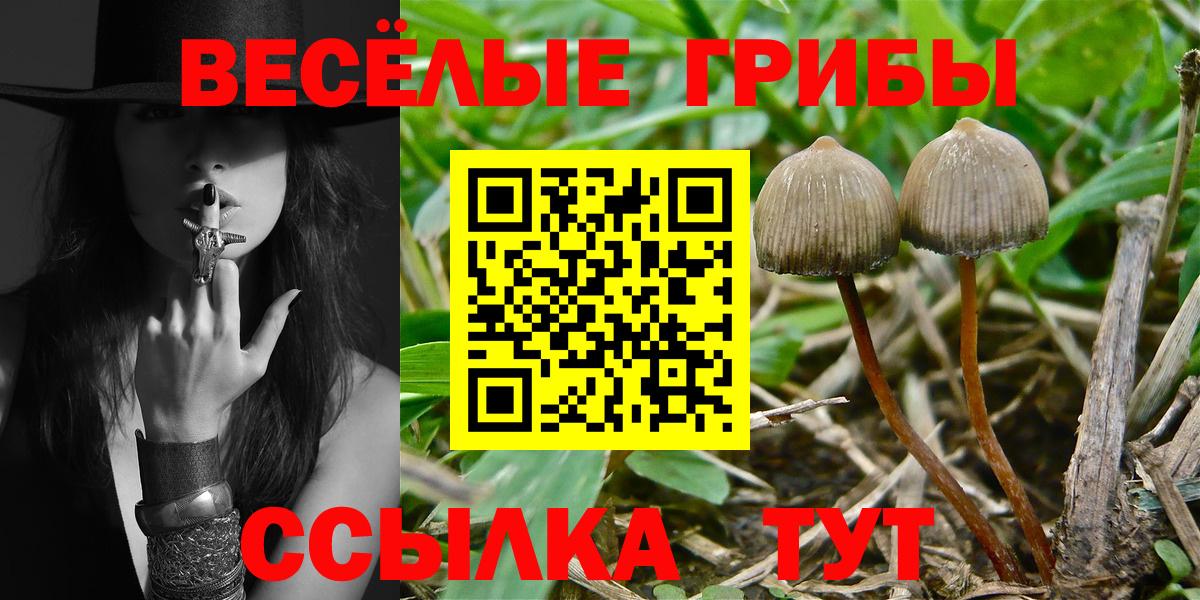Бугуруслан  Псилоцибиновые грибы ЛСД  Псилоцибиновые грибы мицелий  как найти наркотики  Вход с VPN 