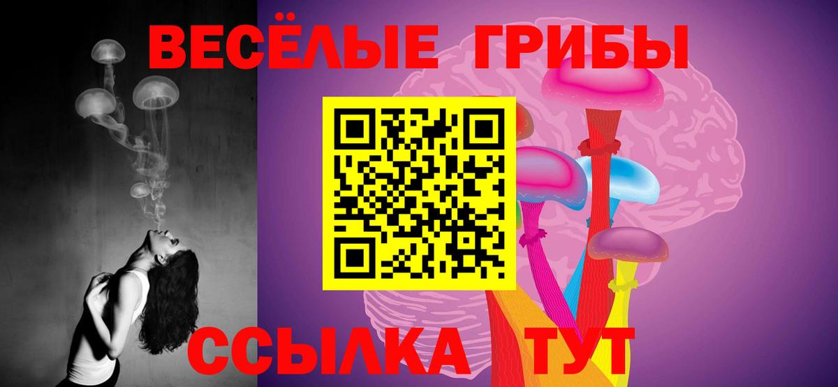 Псилоцибиновые грибы мицелий Бугуруслан